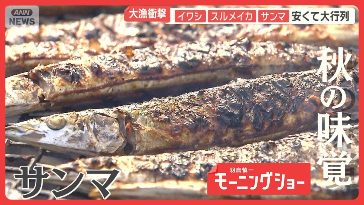 漁師も衝撃…スルメイカ異例大漁「パニック状態」　山ではマツタケ、驚きの収穫