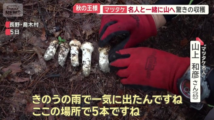 前日の雨で一気に出た