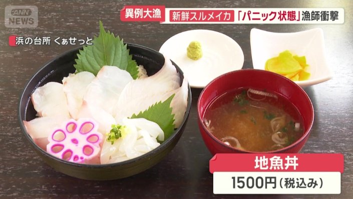 先週からイカ料理の提供を開始
