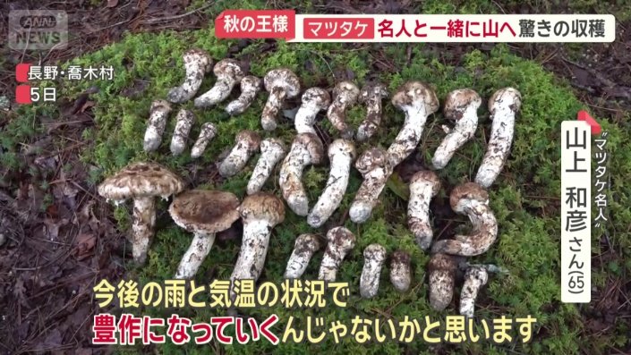 3時間ほどで29本を収穫