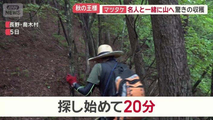 “マツタケ名人”についていくと…