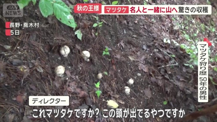 別の山では…