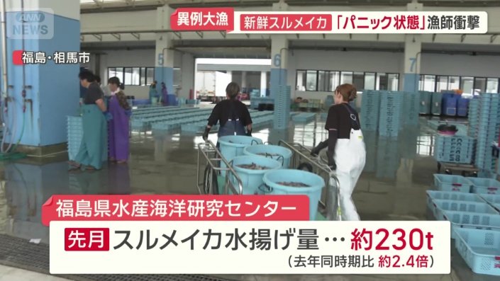 先月の水揚げ量は、去年に比べ2倍以上