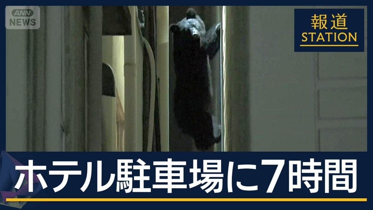 保育園の側に“黒い影”ホテル駐車場に7時間居座り　各地で高まるクマへの危機感