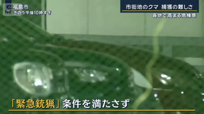 『緊急銃猟』条件を満たさず