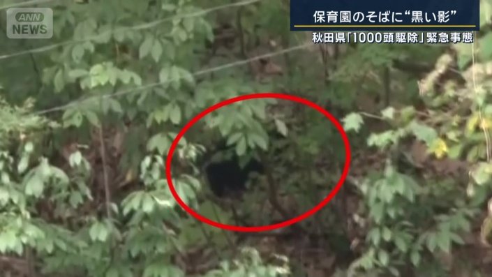 秋田県横手市