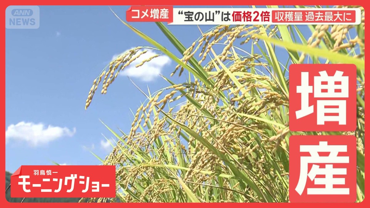 コメ増産“宝の山”価格2倍…収穫量過去最大　大規模化進む中、手放す農家の複雑胸中