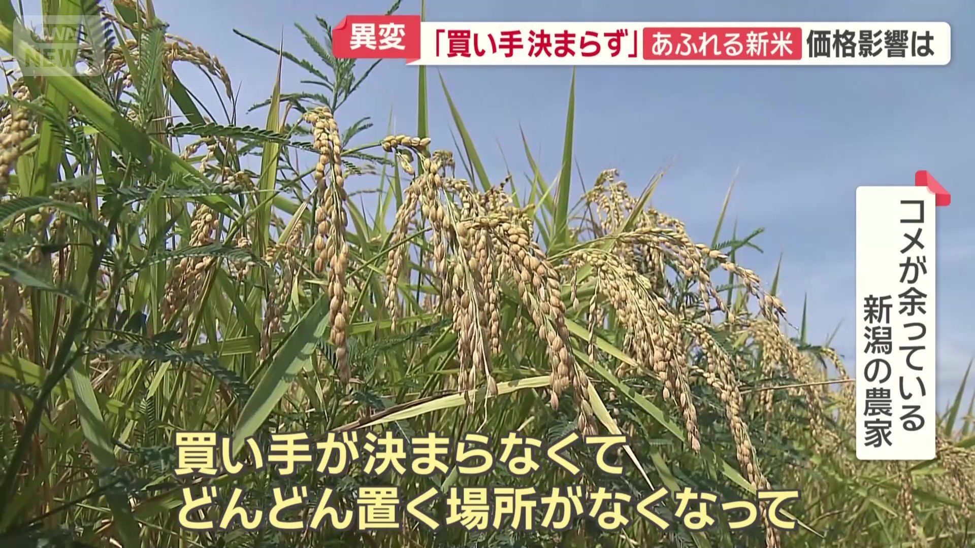 保管料を払って倉庫を借りている