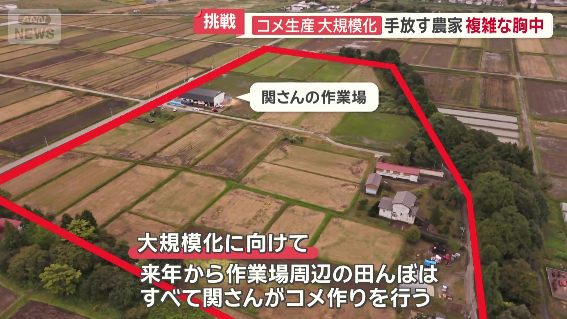来年から作業場周辺の田んぼはすべて、関さんがコメ作りを行う