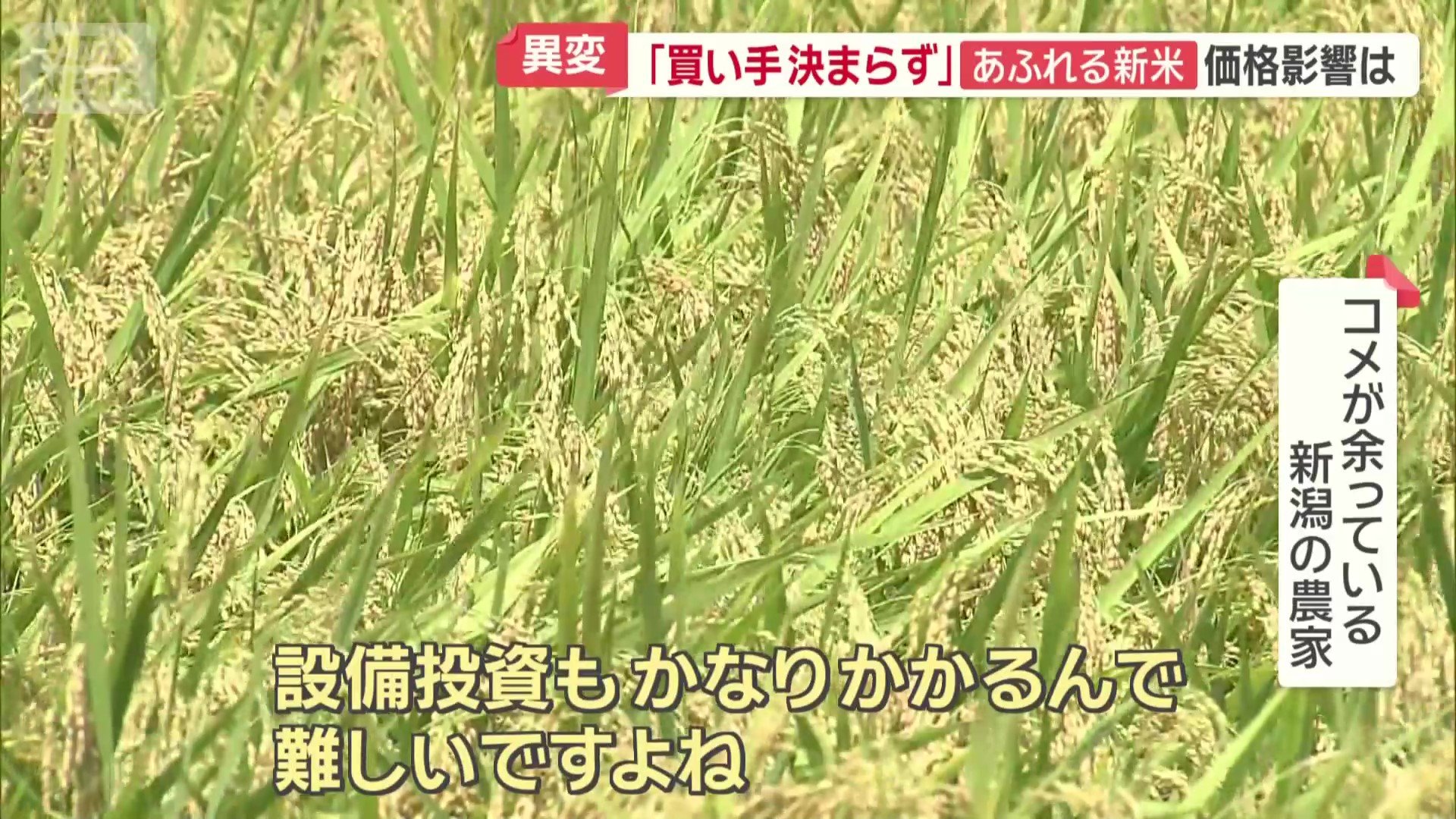 設備投資もかなりかかるという