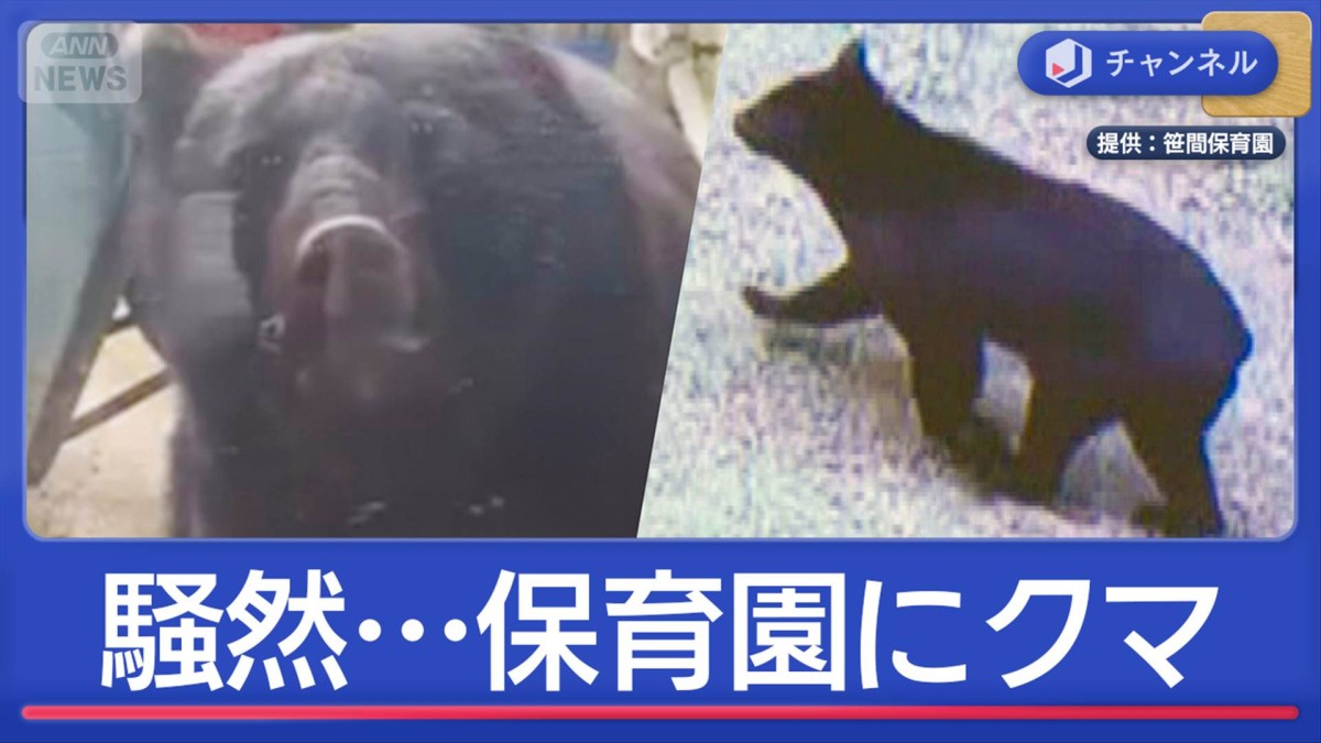 「ドンドンしている」子ども40人がいる保育園にクマ出没　緊迫の瞬間