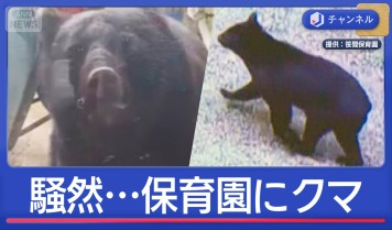 クマに突き飛ばされ女性けが「後ろからバーンと衝撃」 富山・立山町