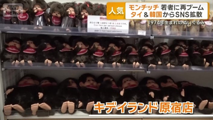 店内にずらりと並ぶモンチッチ