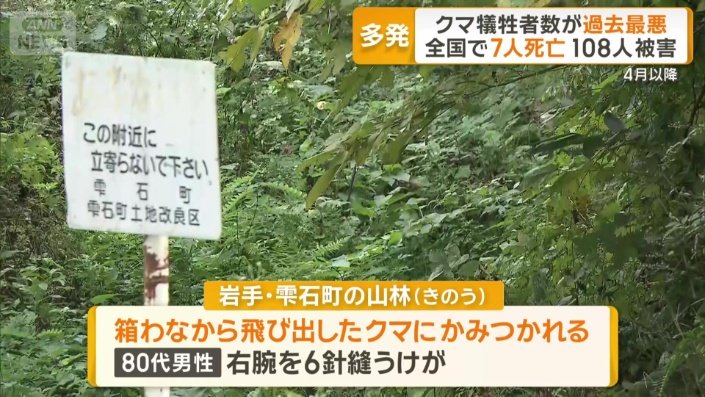 岩手県雫石町の山林