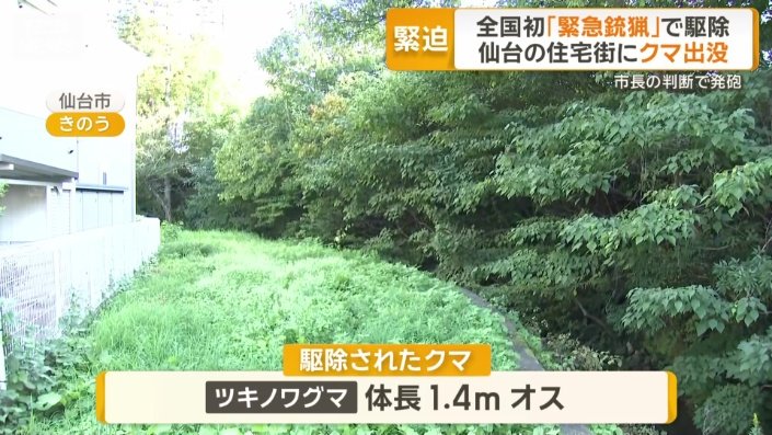 仙台市で初の「緊急銃猟」　