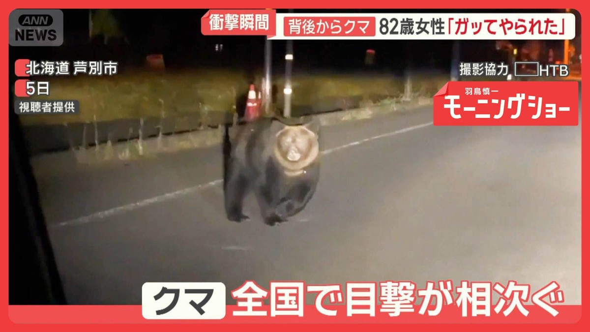 クマ出没に厳戒　世界遺産や観光地でも…　岐阜・白川郷　今年はすでに99件の目撃情報