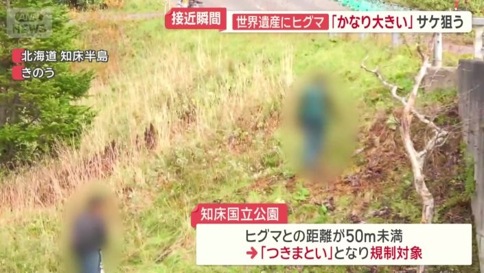クマにつきまとう人たち