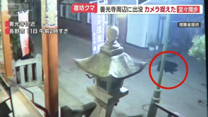 宿坊に設置された防犯カメラに映る一頭のクマ