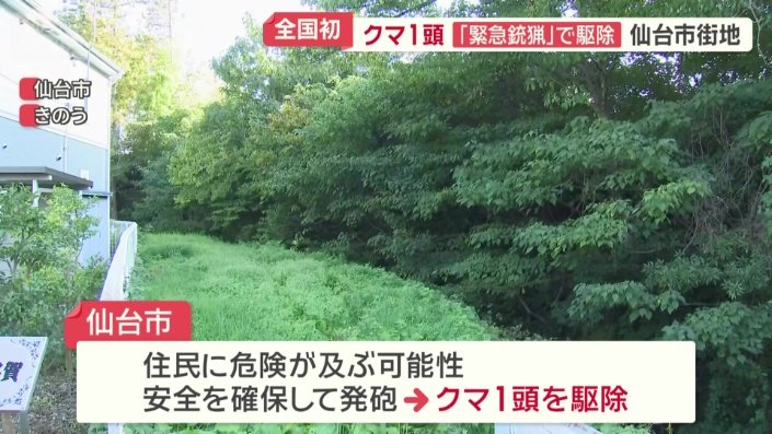 全国初となる「緊急銃猟」を実施した仙台市
