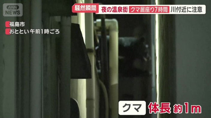 体長1メートルほどのクマ