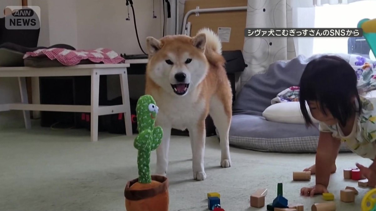 ずっと繰り返す