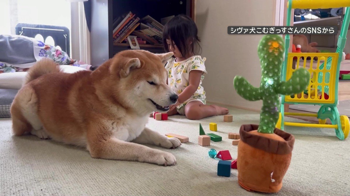 おもちゃと向き合う