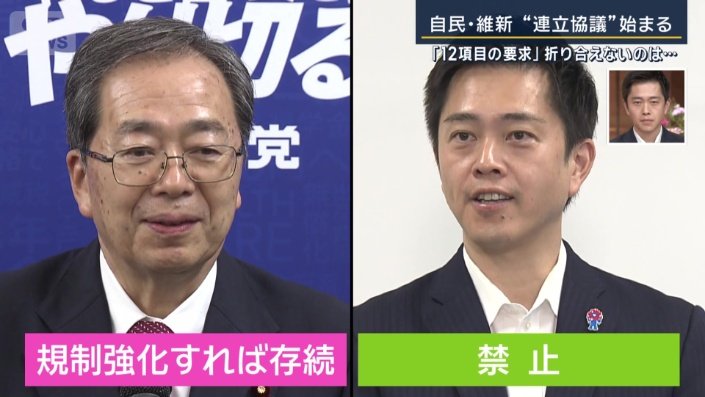 自民党のアキレス腱