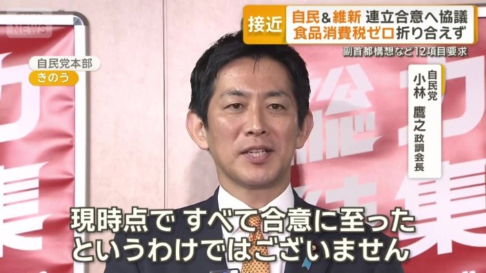 自民党　小林鷹之政調会長