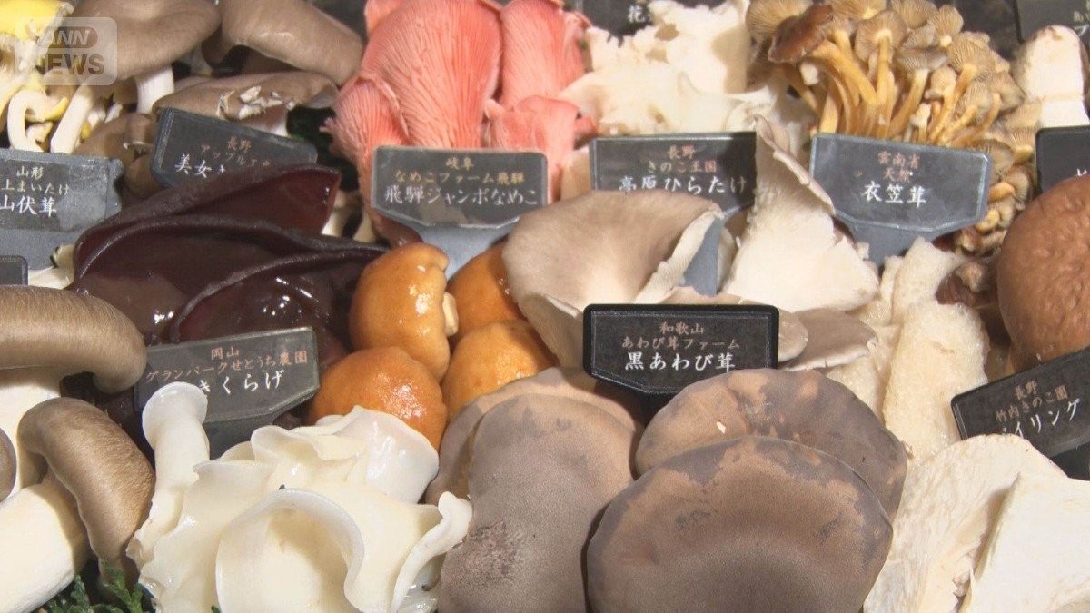 関東にも亜熱帯のキノコ 猛暑や温暖化の影響か 山で実感、秋の味覚に異変