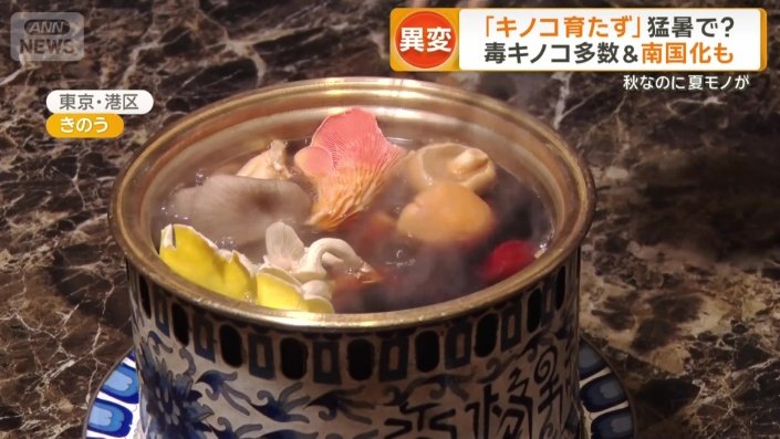 キノコしゃぶしゃぶ鍋専門店「Shangri-La’s secret 六本木」