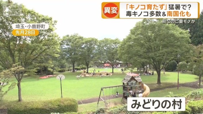 埼玉県小鹿野町にある「みどりの村」