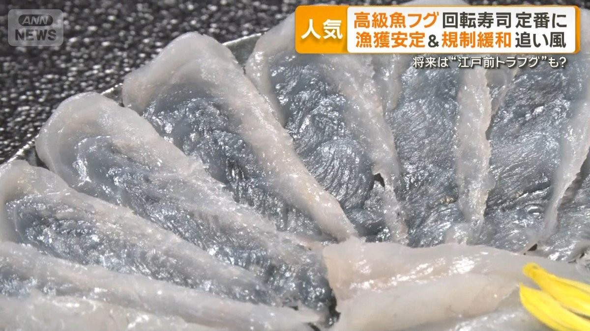 高級魚トラフグが回転寿司の人気のネタに　漁獲安定と規制緩和が追い風