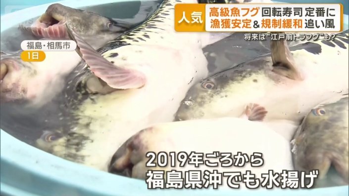 もともと西日本が主な漁場