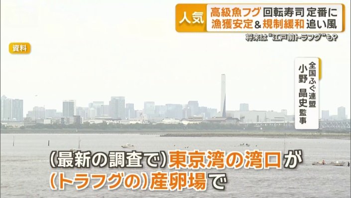 「お台場が“ゆりかご”のような形で稚魚の生息場に」