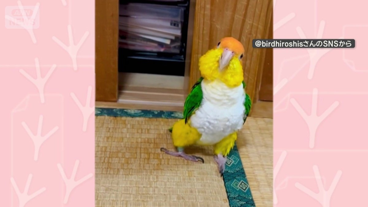 抜き足、差し足、忍び足…