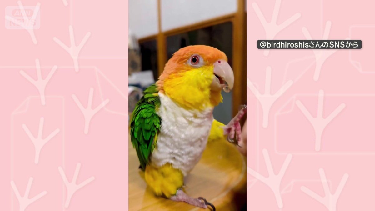 楽しそうに歌う
