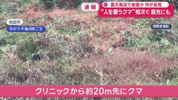 クリニックから約20メートル先にクマ