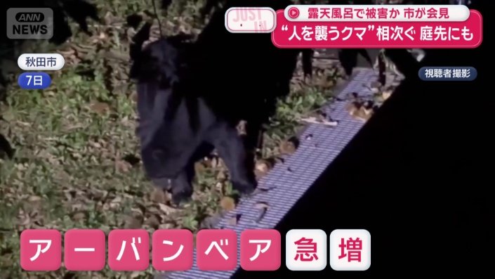 アーバンベア急増