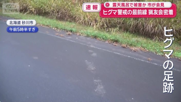 ヒグマの足跡