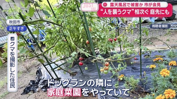 「ドッグランの隣に家庭菜園をやっていて」