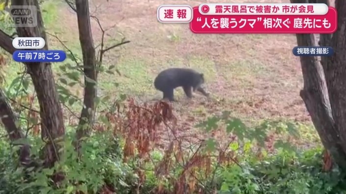 秋田市では住宅の庭にクマ
