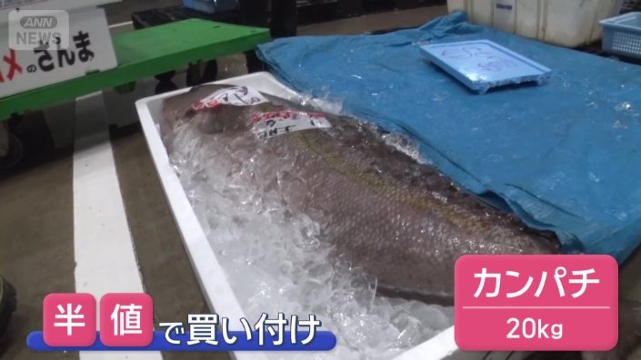 通常の半額以下