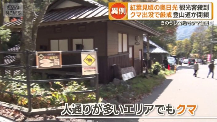 クマの姿が見られたエリア