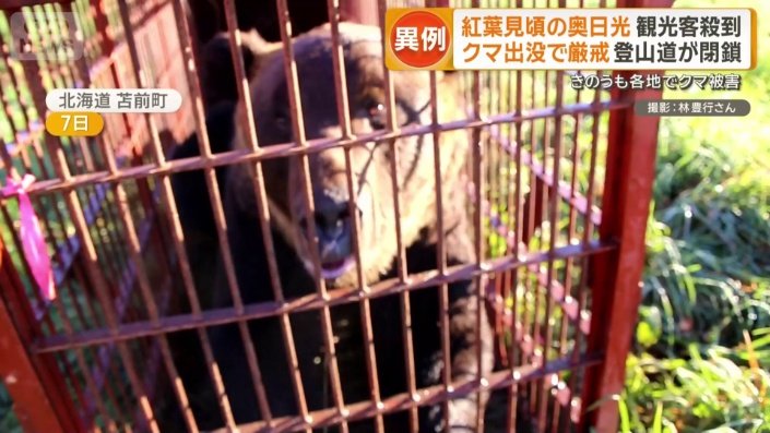 相次ぐクマの出没
