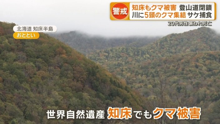 北海道・知床半島でもクマの被害