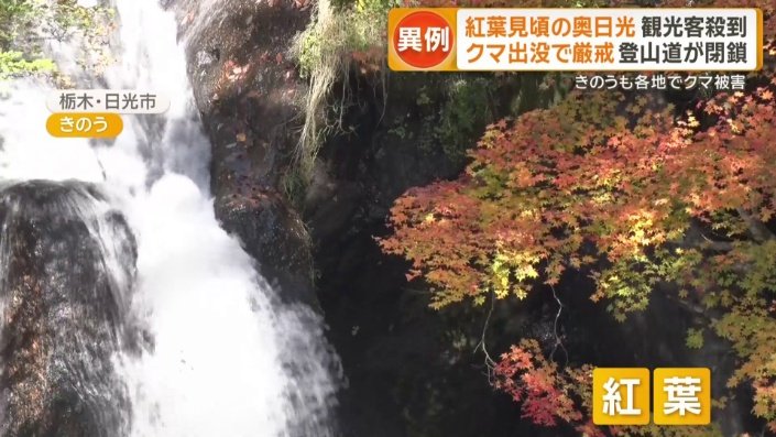 紅葉と竜頭滝を一望できる龍頭之茶屋