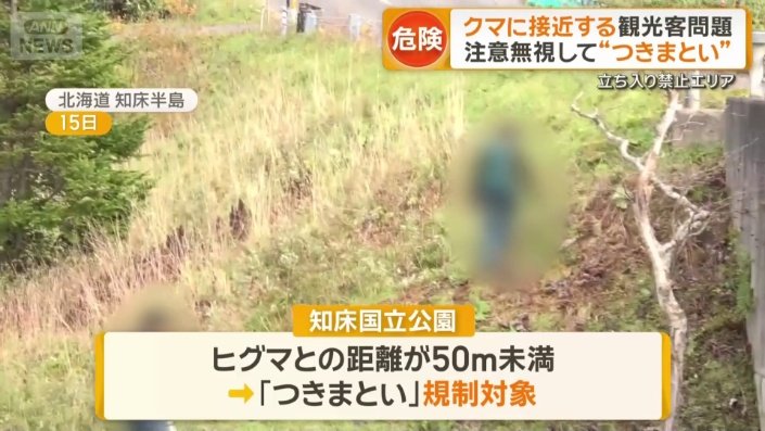 観光客がクマに“つきまとい”