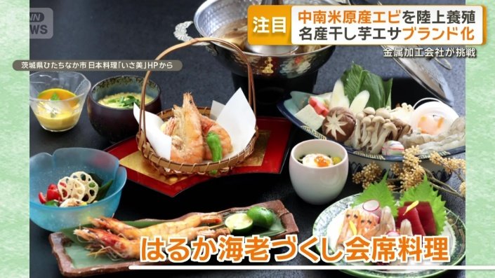 県内の日本料理店で提供される「はるか海老」を使ったコース料理