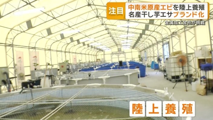 参入相次ぐ陸上養殖