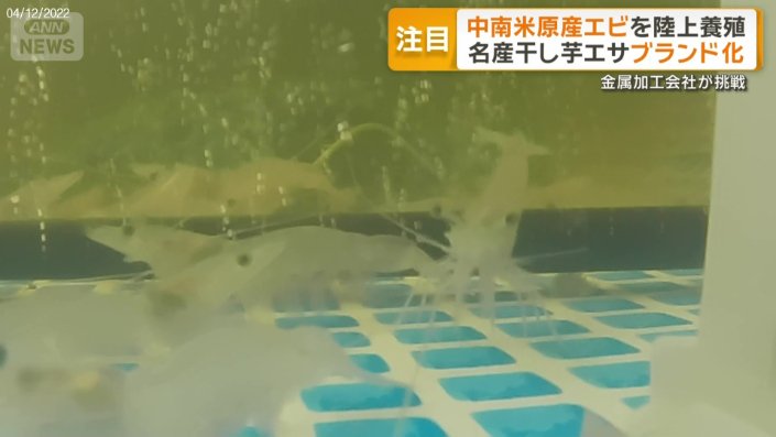 濾過（装置などは本業の金属加工会社で製造